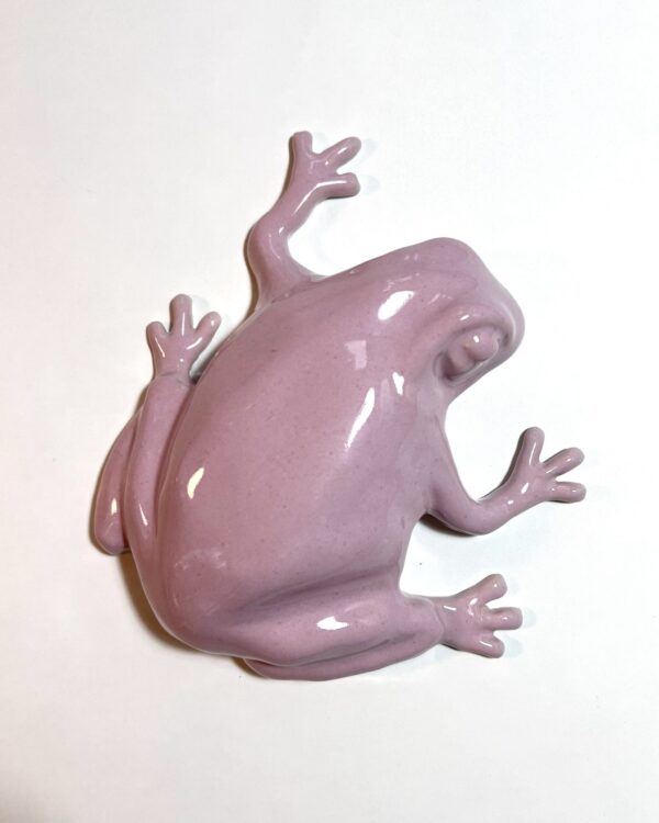 The Frog -wall sculpture, pink